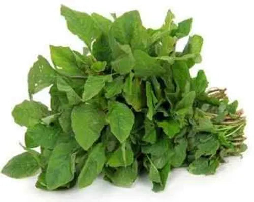 Seeru Keerai Green (Amaranthus) Seeds