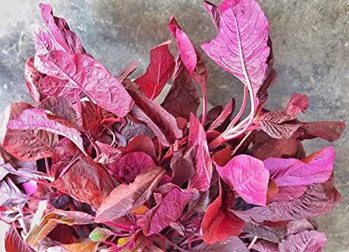 Seeru Keerai Red Seeds