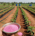 NPK Fertilizer(200 GMS)