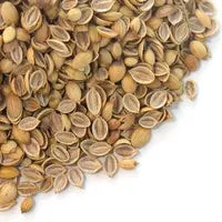 Coriander Broken Seeds
