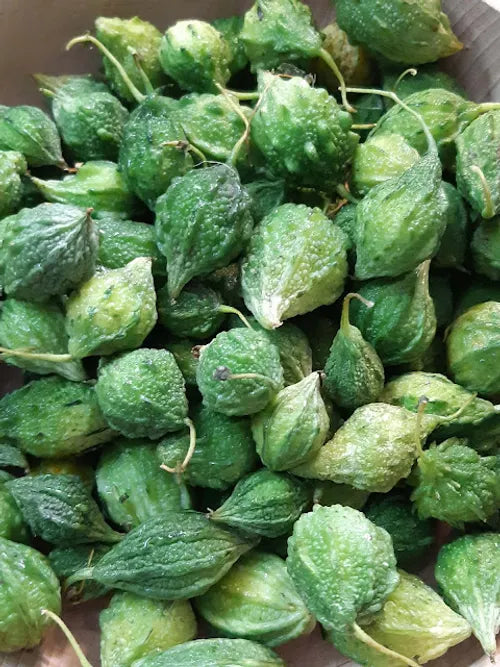 Midhi Paakal (Tender Snake Gourd) Seeds