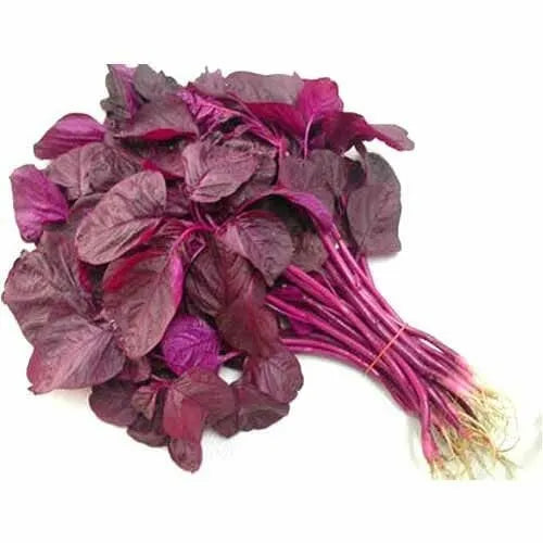 Amaranthus Full Red (Thandu Keerai) Seeds